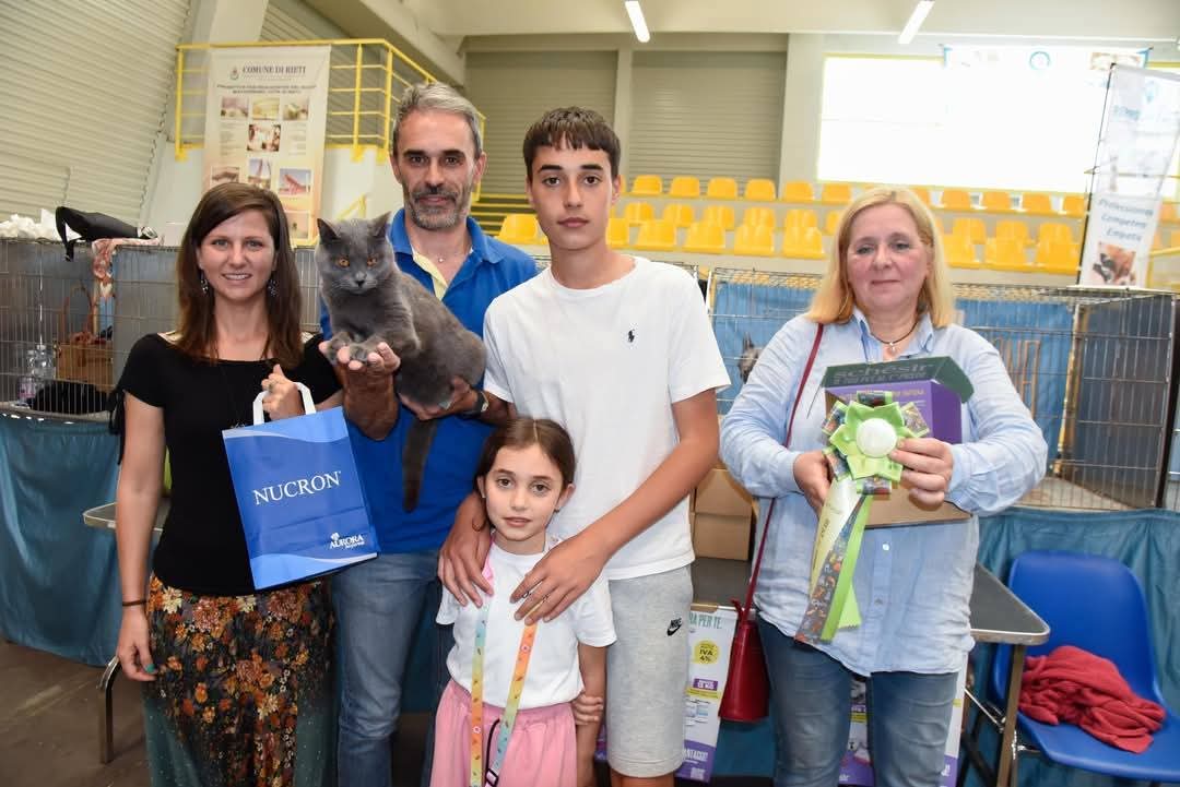 Riconoscimento assegnato a un Gatto Certosino Opera Prima