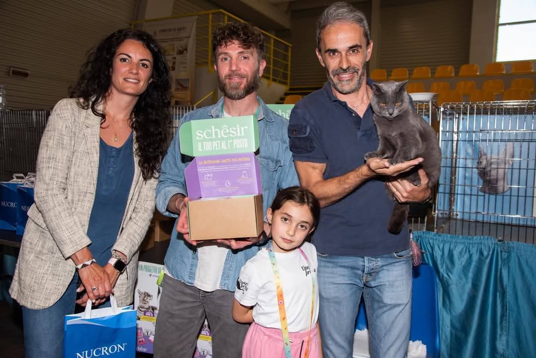 Premiazione di un Gatto Certosino Opera Prima